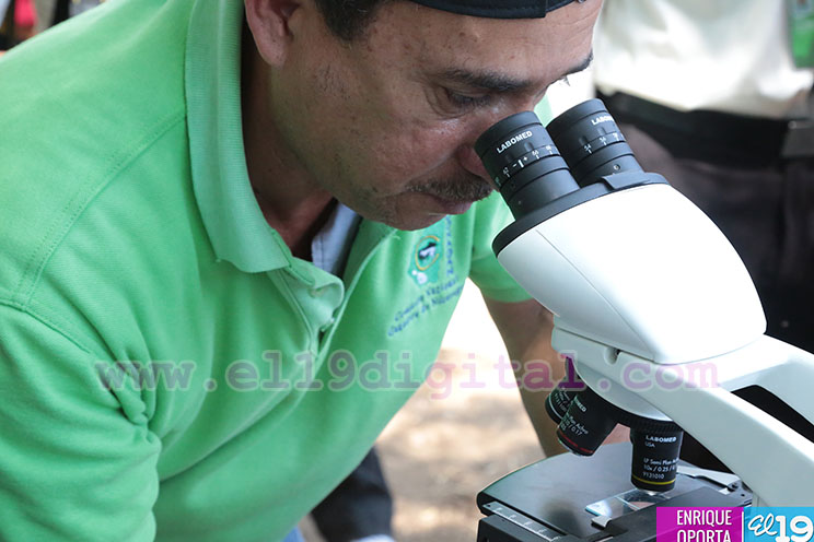 Inicia proyecto piloto de Diagn&oacute;stico de Fertilidad de Toros